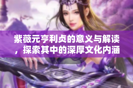 紫薇元亨利贞的意义与解读，探索其中的深厚文化内涵