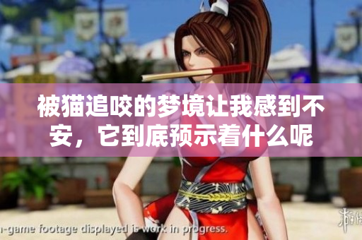 被猫追咬的梦境让我感到不安，它到底预示着什么呢