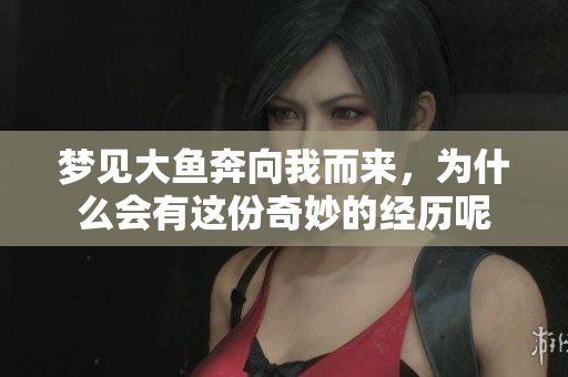 梦见大鱼奔向我而来，为什么会有这份奇妙的经历呢