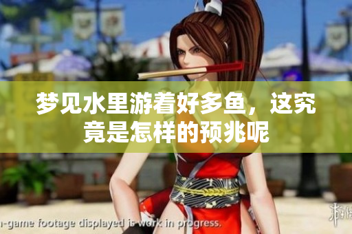 梦见水里游着好多鱼，这究竟是怎样的预兆呢