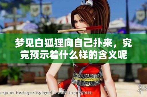 梦见白狐狸向自己扑来，究竟预示着什么样的含义呢