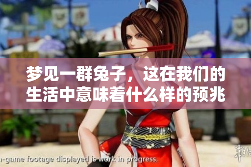 梦见一群兔子，这在我们的生活中意味着什么样的预兆呢
