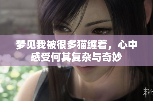 梦见我被很多猫缠着，心中感受何其复杂与奇妙