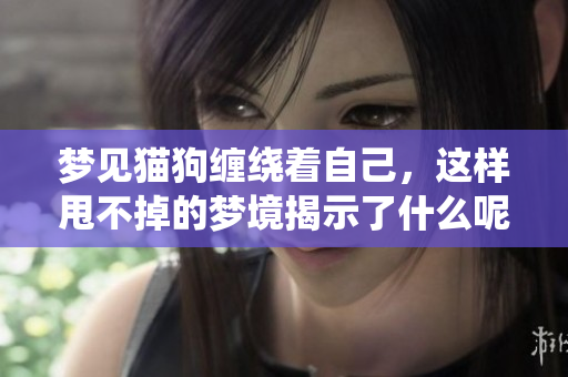 梦见猫狗缠绕着自己，这样甩不掉的梦境揭示了什么呢