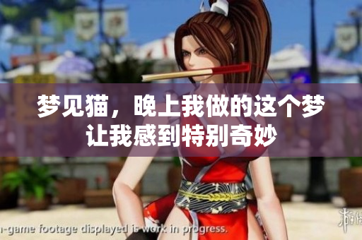 梦见猫，晚上我做的这个梦让我感到特别奇妙