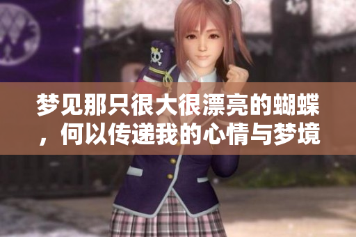 梦见那只很大很漂亮的蝴蝶，何以传递我的心情与梦境呢