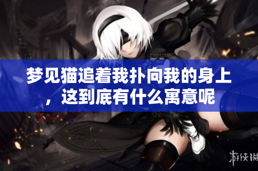 梦见猫追着我扑向我的身上，这到底有什么寓意呢