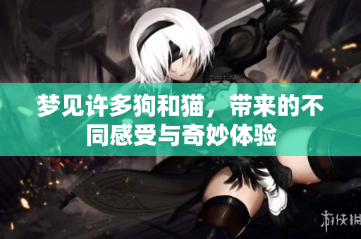 梦见许多狗和猫，带来的不同感受与奇妙体验