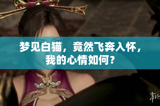 梦见白猫，竟然飞奔入怀，我的心情如何？