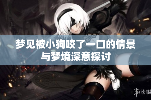 梦见被小狗咬了一口的情景与梦境深意探讨