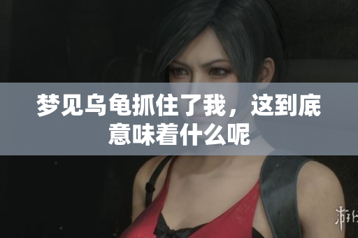 梦见乌龟抓住了我，这到底意味着什么呢