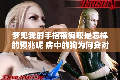 梦见我的手指被狗咬是怎样的预兆呢 房中的狗为何会对我这样攻击