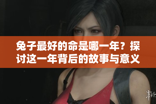 兔子最好的命是哪一年？探讨这一年背后的故事与意义