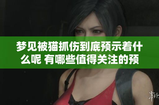 梦见被猫抓伤到底预示着什么呢 有哪些值得关注的预兆呢