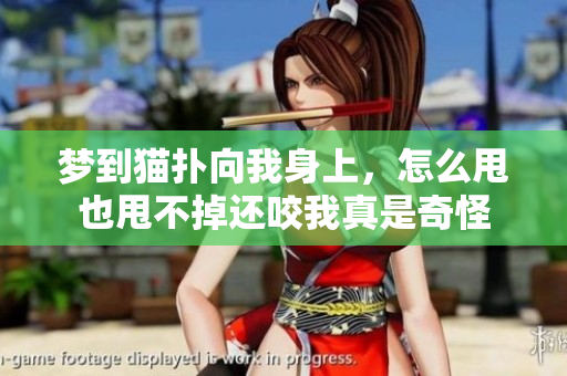 梦到猫扑向我身上，怎么甩也甩不掉还咬我真是奇怪