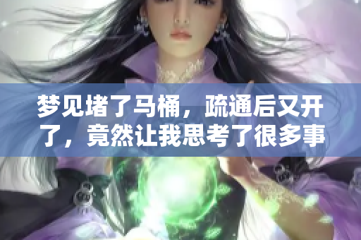 梦见堵了马桶，疏通后又开了，竟然让我思考了很多事情