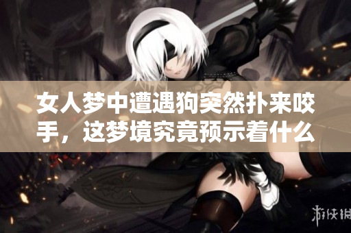 女人梦中遭遇狗突然扑来咬手，这梦境究竟预示着什么呢