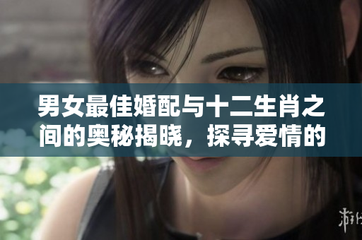 男女最佳婚配与十二生肖之间的奥秘揭晓，探寻爱情的完美结合之道