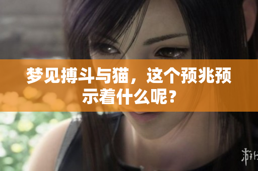 梦见搏斗与猫，这个预兆预示着什么呢？