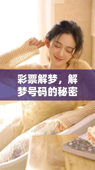 **解梦，解梦号码的秘密探讨与分析