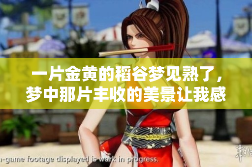 一片金黄的稻谷梦见熟了，梦中那片丰收的美景让我感到幸福