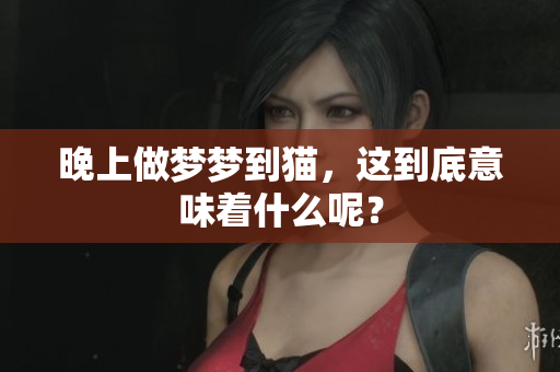 晚上做梦梦到猫，这到底意味着什么呢？