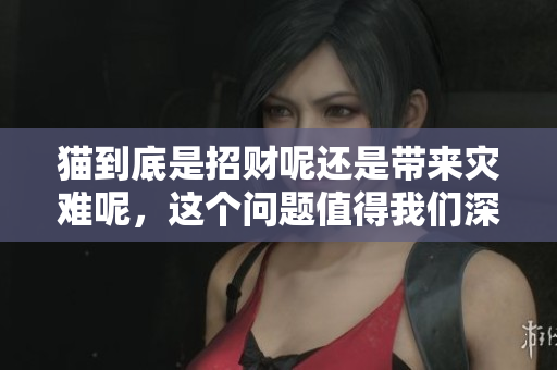 猫到底是招财呢还是带来灾难呢，这个问题值得我们深思探讨