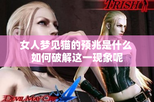 女人梦见猫的预兆是什么 如何破解这一现象呢