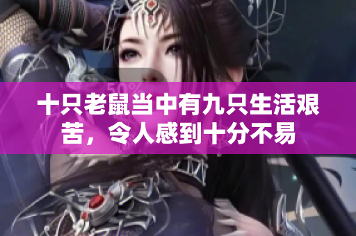 十只老鼠当中有九只生活艰苦，令人感到十分不易