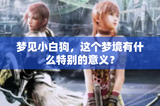 梦见小白狗，这个梦境有什么特别的意义？