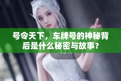 号令天下，车牌号的神秘背后是什么秘密与故事？