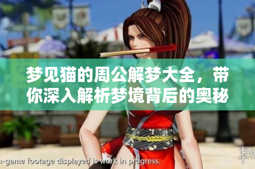 梦见猫的周公解梦大全，带你深入解析梦境背后的奥秘与含义
