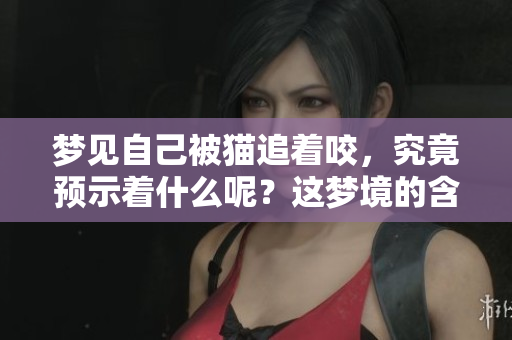 梦见自己被猫追着咬，究竟预示着什么呢？这梦境的含义值得深思！