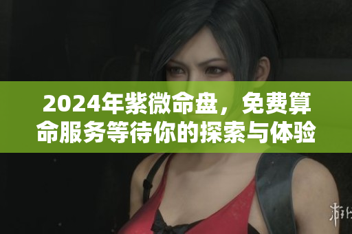 2024年紫微命盘，免费算命服务等待你的探索与体验