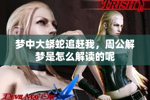 梦中大蟒蛇追赶我，周公解梦是怎么解读的呢