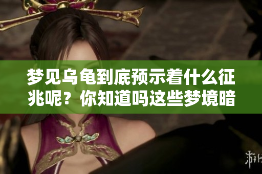 梦见乌龟到底预示着什么征兆呢？你知道吗这些梦境暗藏玄机！