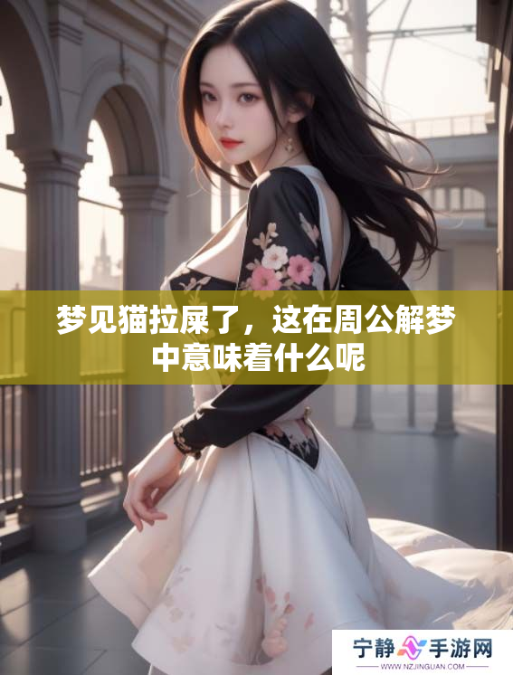 梦见猫拉屎了，这在周公解梦中意味着什么呢