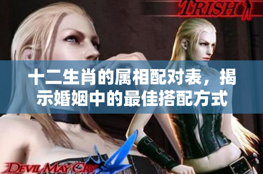 十二生肖的属相配对表，揭示婚姻中的最佳搭配方式