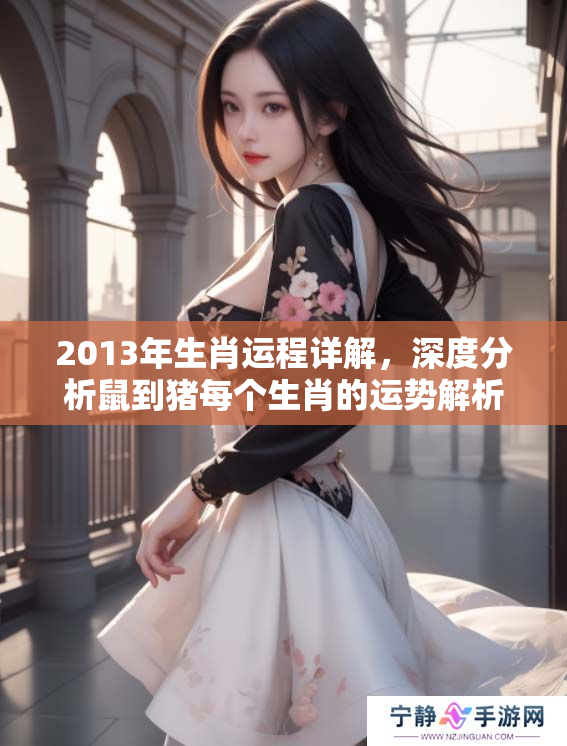 2013年生肖运程详解，深度分析鼠到猪每个生肖的运势解析