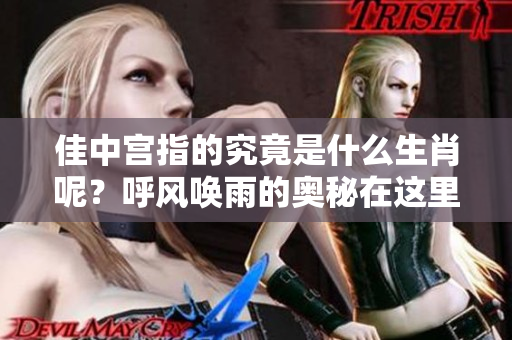 佳中宫指的究竟是什么生肖呢？呼风唤雨的奥秘在这里揭晓！