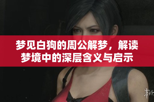 梦见白狗的周公解梦，解读梦境中的深层含义与启示