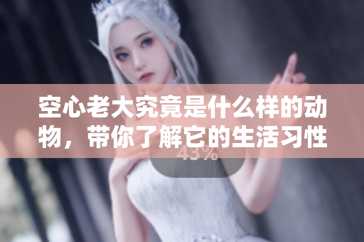 空心老大究竟是什么样的动物，带你了解它的生活习性与特征