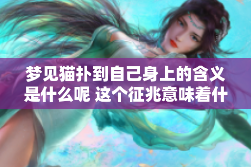 梦见猫扑到自己身上的含义是什么呢 这个征兆意味着什么呢