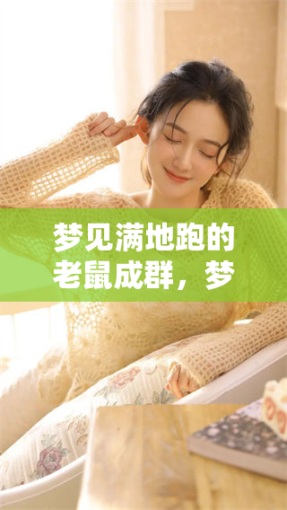 梦见满地跑的老鼠成群，梦境解析带你揭开隐秘的象征意义