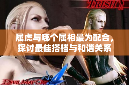 属虎与哪个属相最为配合，探讨最佳搭档与和谐关系