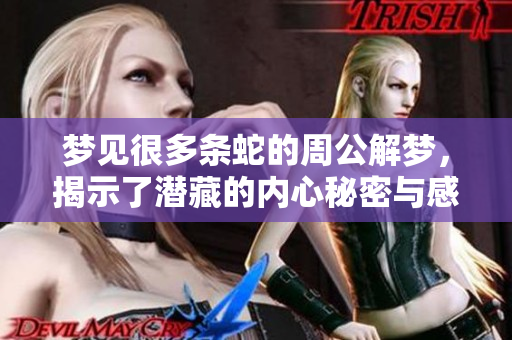 梦见很多条蛇的周公解梦，揭示了潜藏的内心秘密与感受