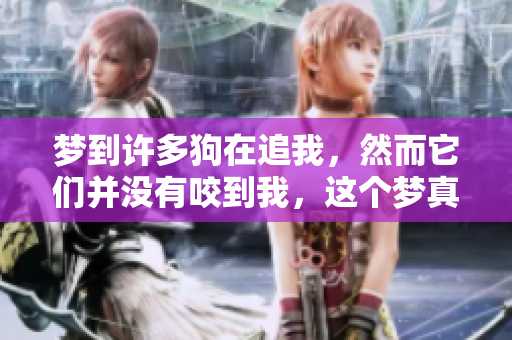 梦到许多狗在追我，然而它们并没有咬到我，这个梦真奇妙