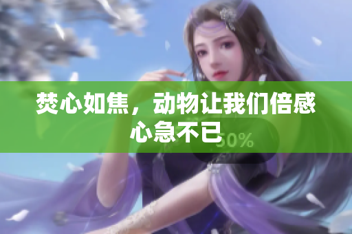 焚心如焦，动物让我们倍感心急不已