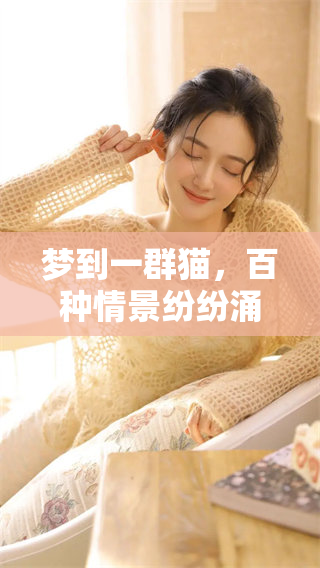 梦到一群猫，百种情景纷纷涌现，仿佛梦中回归喧闹生活