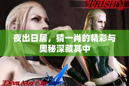 夜出日居，猜**的精彩与奥秘深藏其中